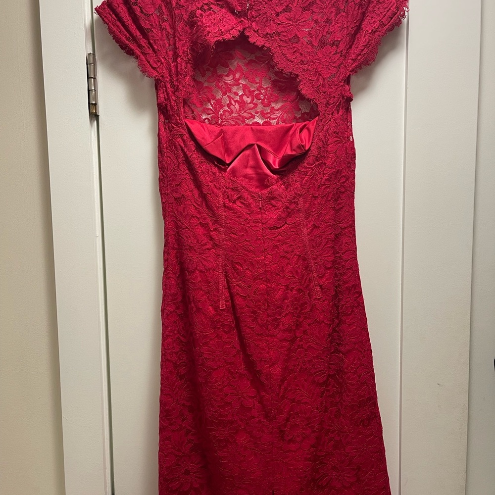 Classic Lace ML by Monique Lhuillier Cocktail Dress - Picture 4 of 4